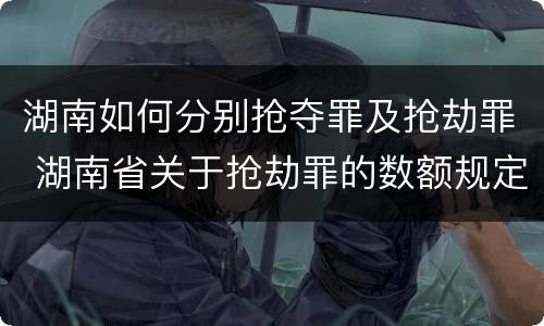 湖南如何分别抢夺罪及抢劫罪 湖南省关于抢劫罪的数额规定