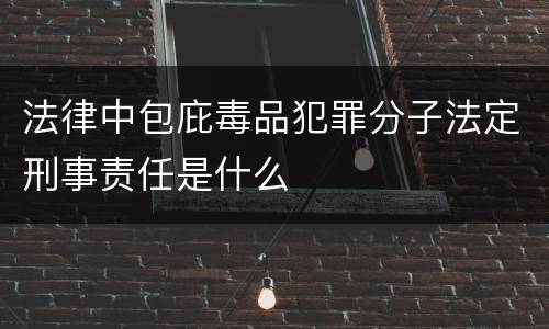法律中包庇毒品犯罪分子法定刑事责任是什么