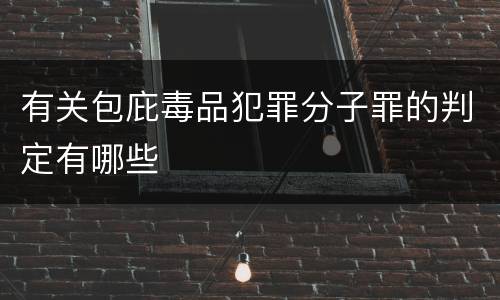 有关包庇毒品犯罪分子罪的判定有哪些