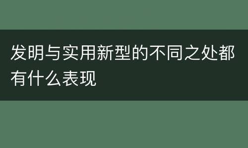 发明与实用新型的不同之处都有什么表现
