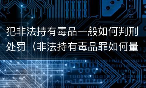 犯非法持有毒品一般如何判刑处罚（非法持有毒品罪如何量刑）