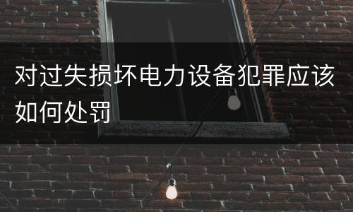 对过失损坏电力设备犯罪应该如何处罚