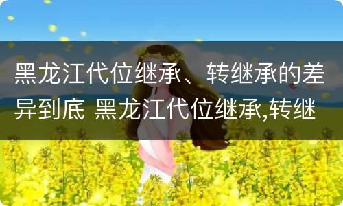 黑龙江代位继承、转继承的差异到底 黑龙江代位继承,转继承的差异到底有多大