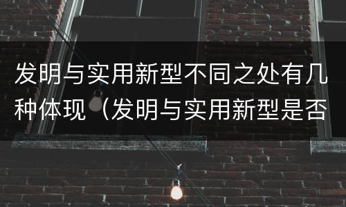 发明与实用新型不同之处有几种体现（发明与实用新型是否具有实用性）