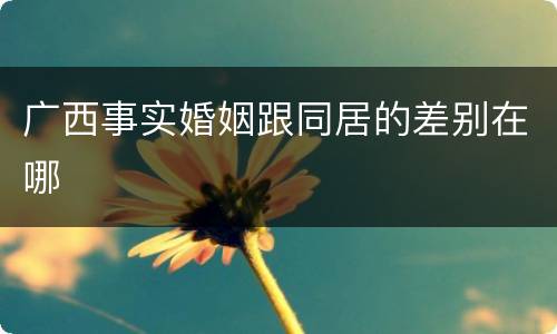 广西事实婚姻跟同居的差别在哪