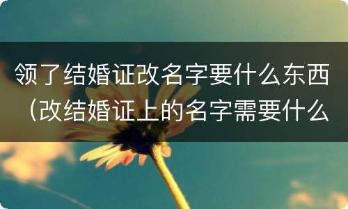 领了结婚证改名字要什么东西（改结婚证上的名字需要什么证件）
