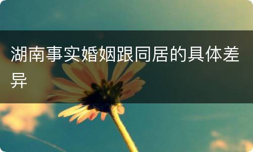 湖南事实婚姻跟同居的具体差异