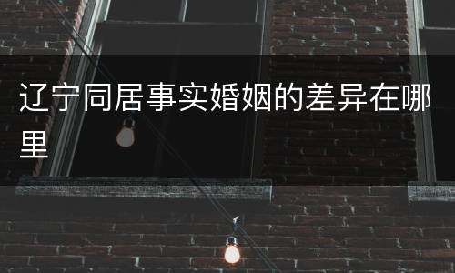 辽宁同居事实婚姻的差异在哪里