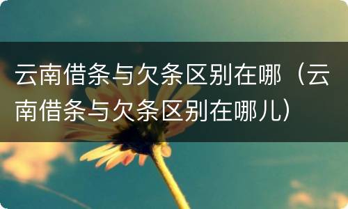 云南借条与欠条区别在哪（云南借条与欠条区别在哪儿）