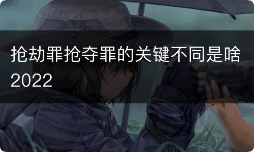 抢劫罪抢夺罪的关键不同是啥2022