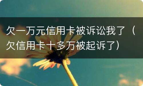 欠一万元信用卡被诉讼我了（欠信用卡十多万被起诉了）