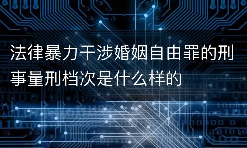 法律暴力干涉婚姻自由罪的刑事量刑档次是什么样的