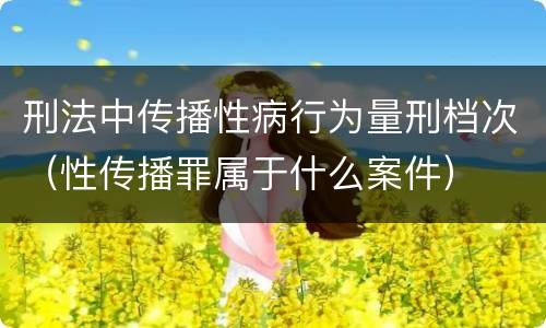 刑法中传播性病行为量刑档次（性传播罪属于什么案件）