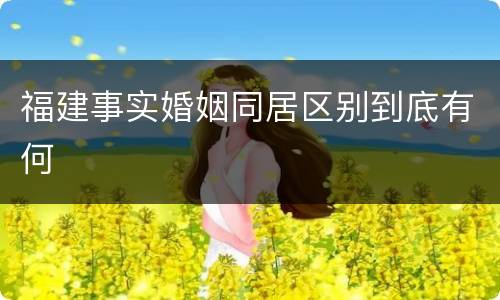 福建事实婚姻同居区别到底有何