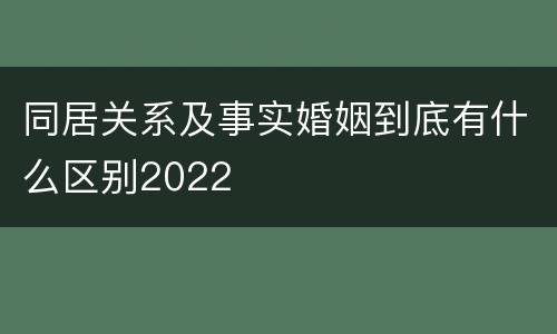 同居关系及事实婚姻到底有什么区别2022