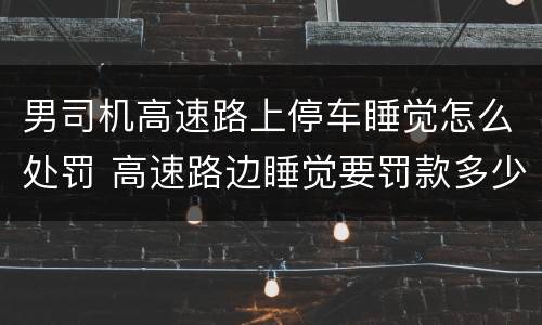 男司机高速路上停车睡觉怎么处罚 高速路边睡觉要罚款多少钱
