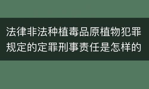 法律非法种植毒品原植物犯罪规定的定罪刑事责任是怎样的