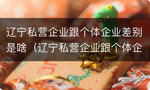 辽宁私营企业跟个体企业差别是啥（辽宁私营企业跟个体企业差别是啥呀）