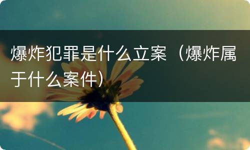 爆炸犯罪是什么立案（爆炸属于什么案件）