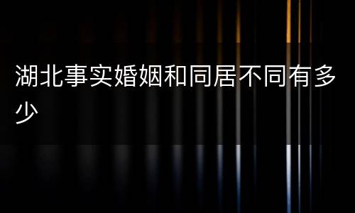 湖北事实婚姻和同居不同有多少