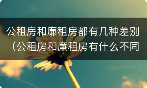 公租房和廉租房都有几种差别（公租房和廉租房有什么不同?）