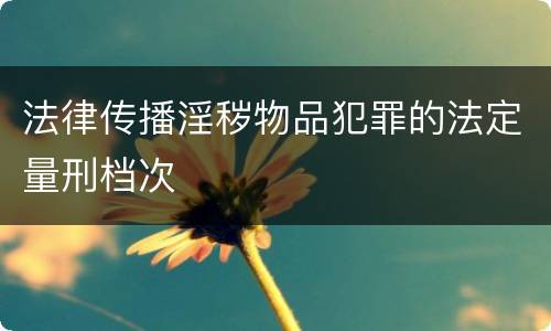 法律传播淫秽物品犯罪的法定量刑档次