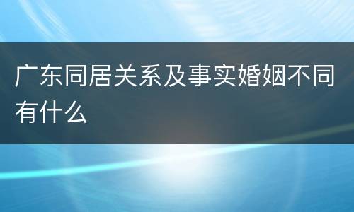 广东同居关系及事实婚姻不同有什么