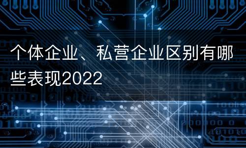 个体企业、私营企业区别有哪些表现2022