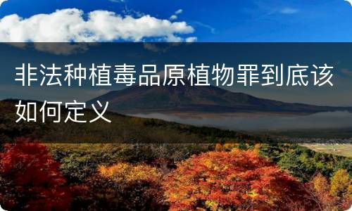 非法种植毒品原植物罪到底该如何定义