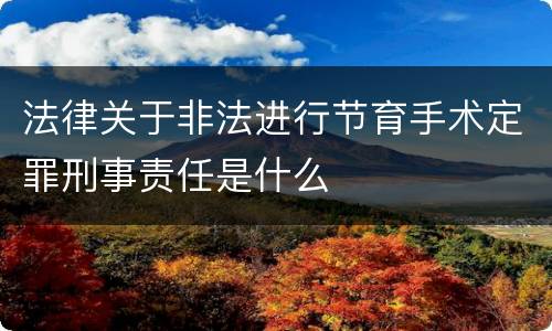 法律关于非法进行节育手术定罪刑事责任是什么
