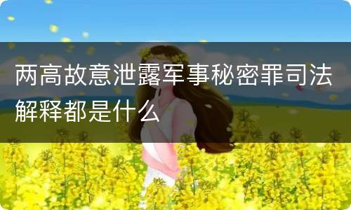 两高故意泄露军事秘密罪司法解释都是什么