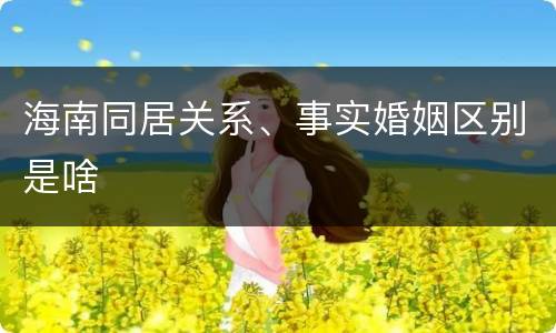 海南同居关系、事实婚姻区别是啥