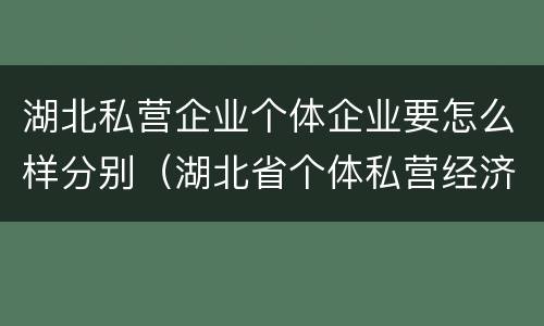 湖北私营企业个体企业要怎么样分别（湖北省个体私营经济网）