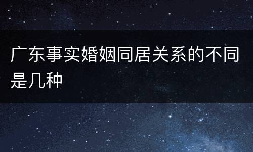 广东事实婚姻同居关系的不同是几种