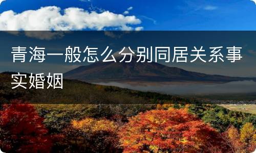 青海一般怎么分别同居关系事实婚姻