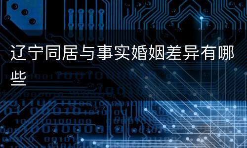 辽宁同居与事实婚姻差异有哪些