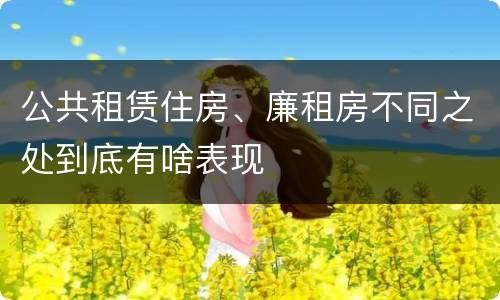 公共租赁住房、廉租房不同之处到底有啥表现
