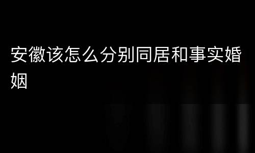 安徽该怎么分别同居和事实婚姻