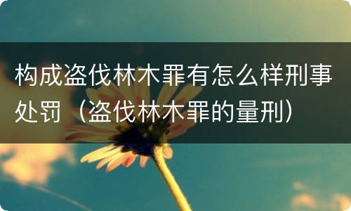 构成盗伐林木罪有怎么样刑事处罚（盗伐林木罪的量刑）