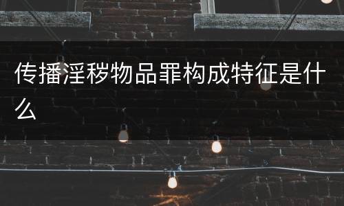 传播淫秽物品罪构成特征是什么