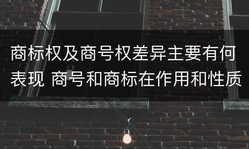 商标权及商号权差异主要有何表现 商号和商标在作用和性质上的区别