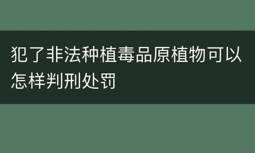 犯了非法种植毒品原植物可以怎样判刑处罚