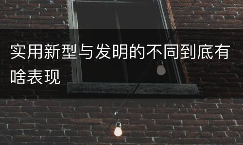 实用新型与发明的不同到底有啥表现