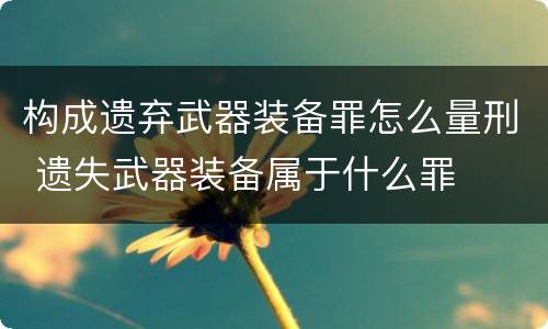 构成遗弃武器装备罪怎么量刑 遗失武器装备属于什么罪