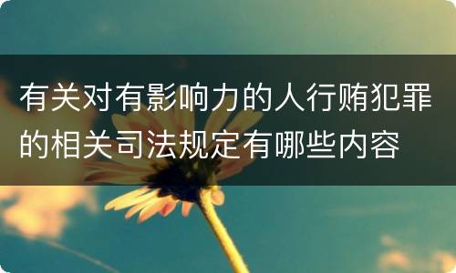 有关对有影响力的人行贿犯罪的相关司法规定有哪些内容