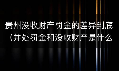 贵州没收财产罚金的差异到底（并处罚金和没收财产是什么意思）