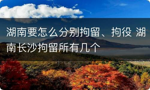 湖南要怎么分别拘留、拘役 湖南长沙拘留所有几个