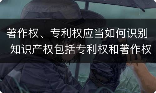 著作权、专利权应当如何识别 知识产权包括专利权和著作权吗
