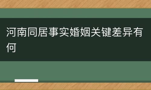 河南同居事实婚姻关键差异有何