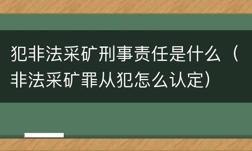 犯非法采矿刑事责任是什么（非法采矿罪从犯怎么认定）